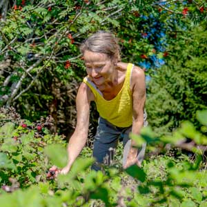 Olga Gaile sammelt Kräuter in der Natur