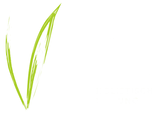 Logo Vita – Olga Gaile